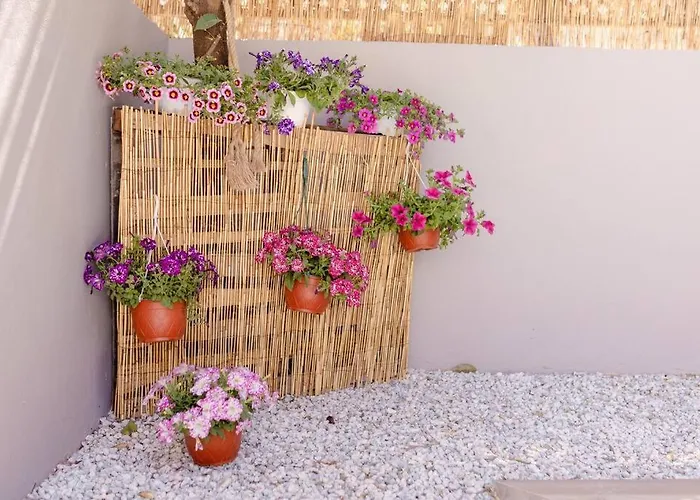 Apartamento de 3 Dormitorios